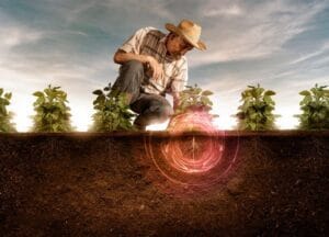 کاربرد گچ کشاورزی