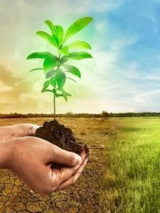 افزایش محصول با گچ کشاورزی