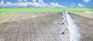 آبیاری بعد از پاشش گچ کشاورزی