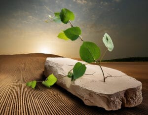 اثرات زیست محیطی در استفاده از گچ سمنان